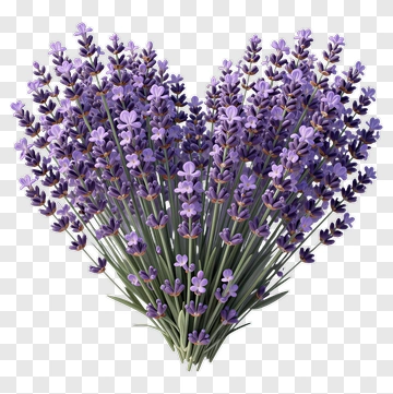 Lavender Bouquet PNG