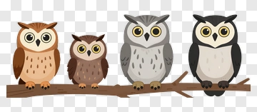 Cartoon Owls Sitting On A Branch PNG