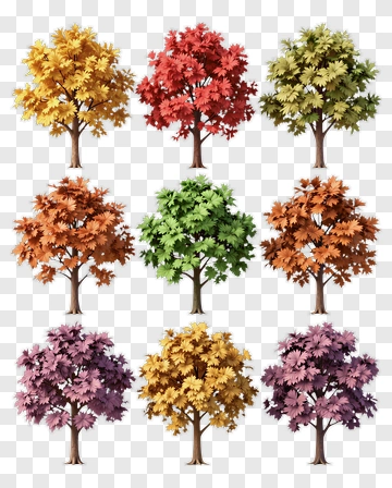 Colorful Tree Collection PNG