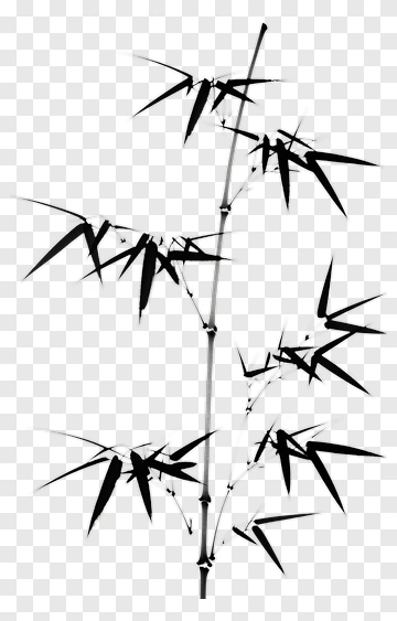 Black Bamboo Plant PNG