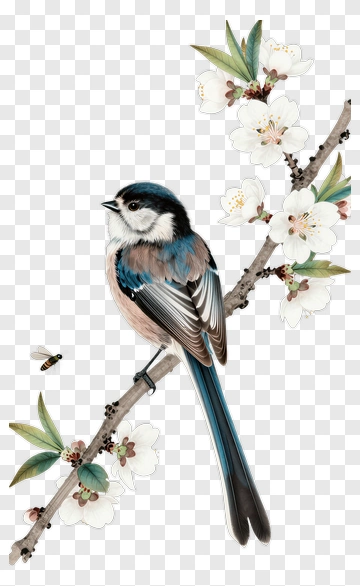 Blue Bird Sitting On A Flowering Branch PNG