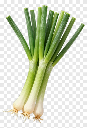 Fresh Green Onions PNG