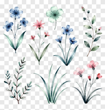 Watercolor Floral Arrangement PNG