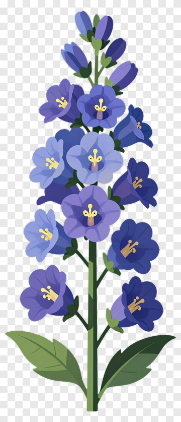 Colorful Bellflower With Green Leaves PNG