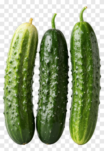 Fresh Cucumbers On White Background PNG