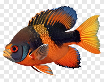 Colorful Fish With Vibrant Fins PNG