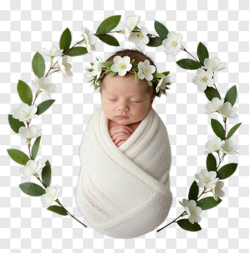 Newborn Baby Wrapped In White Blanket With Floral Crown PNG