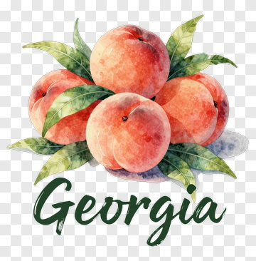 Peach Composition With Georgia Text PNG