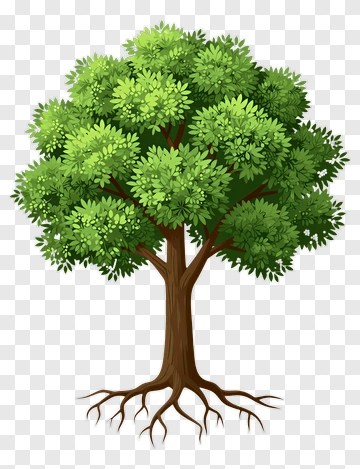 Colorful Tree PNG