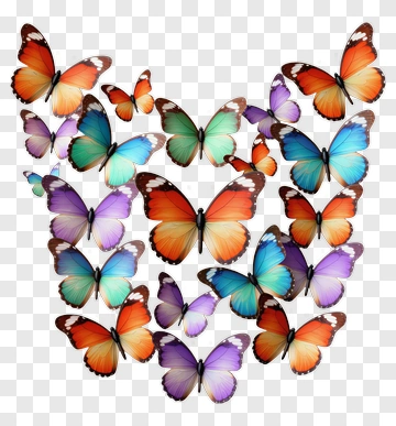 Colorful Butterflies PNG