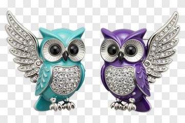 Colorful Decorative Owls With Wings PNG