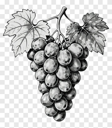 Black And White Grapes With Leaves PNG