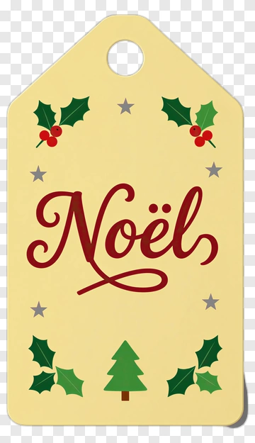 Christmas Gift Tag With Noël And Holly PNG