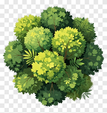 Colorful Tree Composition PNG
