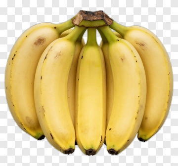 Bunch Of Yellow Bananas PNG