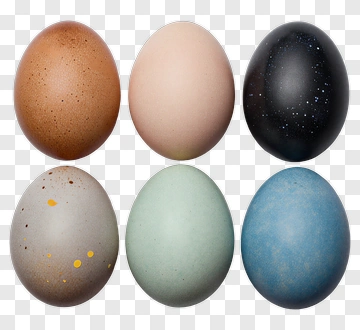Colorful Decorative Eggs PNG