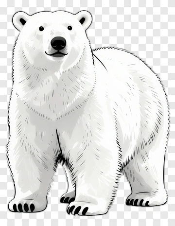 Cartoon Polar Bear PNG