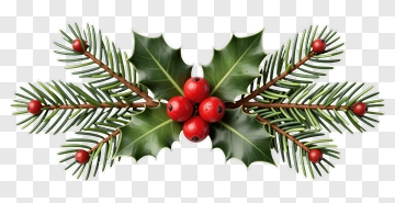 Holly Branch With Red Berries PNG
