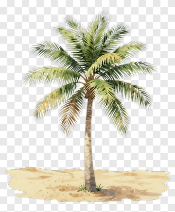 Watercolor Palm Tree PNG