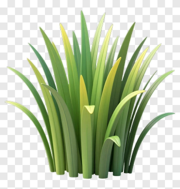Green Grass PNG