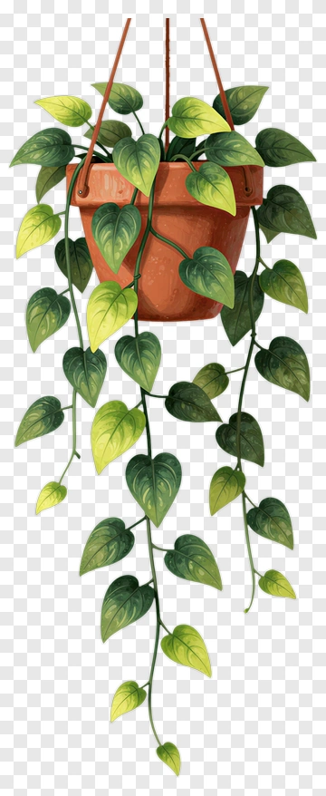 Hanging Potted Plant With Green Leaves PNG