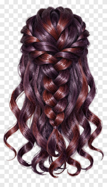 Braided Hair With Loose Curls PNG