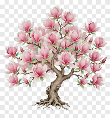 Colorful Magnolia Tree In Bloom PNG