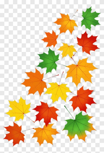 Colorful Autumn Leaves PNG