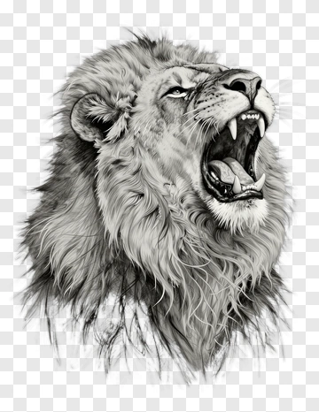 Roaring Lion Head Illustration PNG