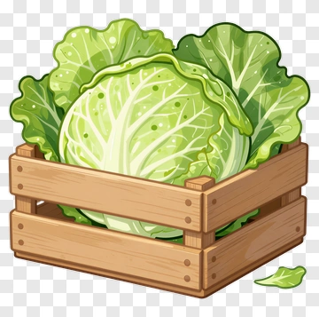 Fresh Cabbage In A Wooden Crate PNG