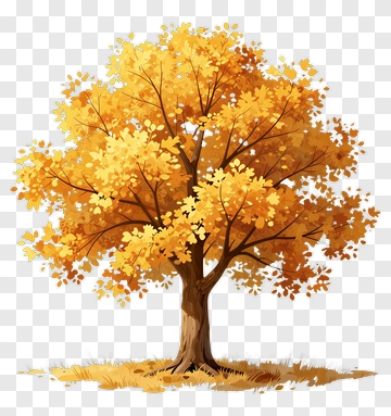 Colorful Autumn Tree PNG