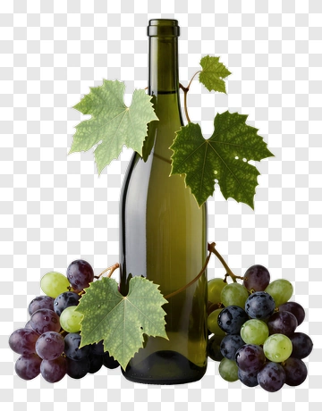 Wine Bottle Surrounded By Grapes And Leaves PNG