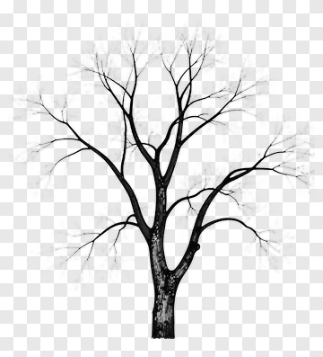 Bare Tree With No Leaves PNG