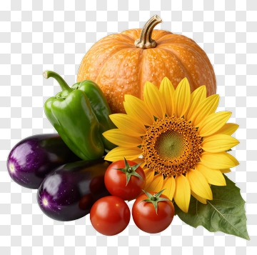 Colorful Vegetable And Flower Arrangement PNG