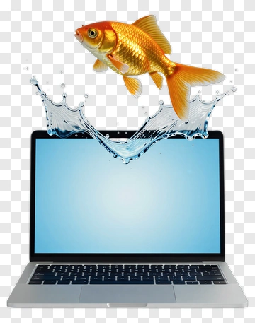 Goldfish Jumping Out Of A Laptop PNG