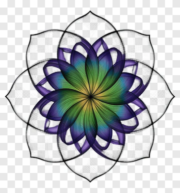 Colorful Flower Mandala Design PNG
