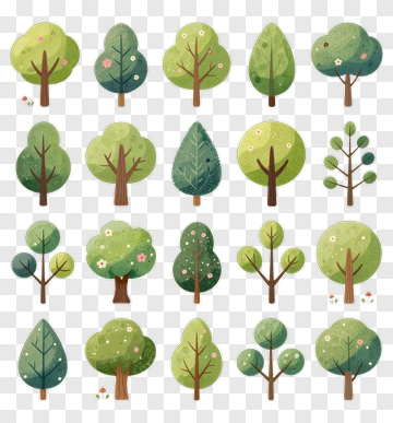 Collection Of Various Trees In Different Styles PNG