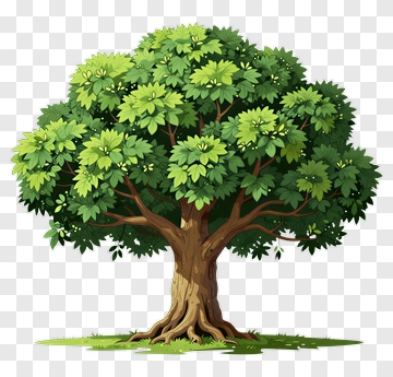 Cartoon Tree PNG