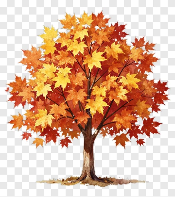 Colorful Maple Tree With Autumn Leaves PNG