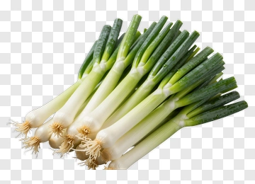 Fresh Green Onions PNG