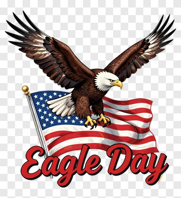 Eagle Day With American Flag PNG