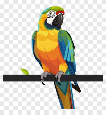 Colorful Parrot Perched On A Branch PNG