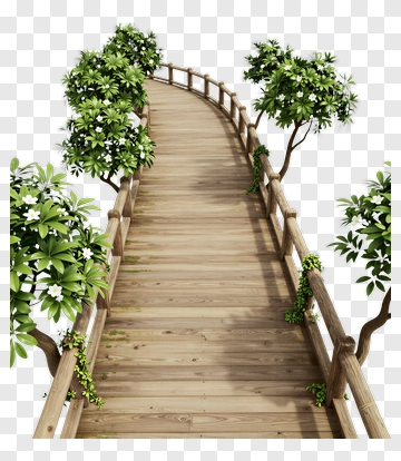 Wooden Pathway Surrounded By Trees PNG