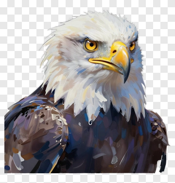 Realistic Bald Eagle Portrait PNG