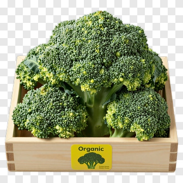 Organic Broccoli In Wooden Box PNG
