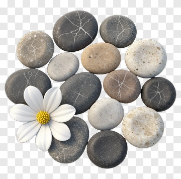 Flower Among Decorative Stones PNG