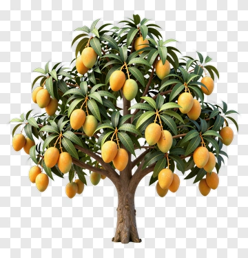 Colorful Mango Tree PNG