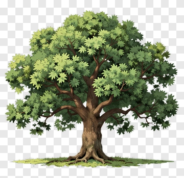 Colorful Tree PNG