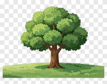 Colorful Tree PNG