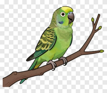 Cartoon Parrot Sitting On A Branch PNG
